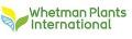 Whetman Plants International